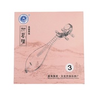 Xinghai Liuqin String Musical Instrument Accessories Light String Set String Steel Core De Silver Wi