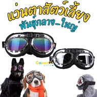 Dog Glasses Big