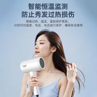 Shop B & B Apartment Business Dormitory Student Hair Dryer Holiday Gift Large Small Power Hair Dryer