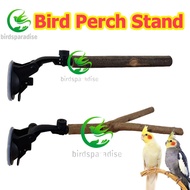 Perches for lovebird bird Perch wood Natural prickly ash wood bird perch stand For Bird Cage