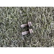 bolt allenkey pulser coil magnet honda nsr 150 rr