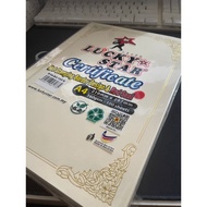 LUCKY STAR A4 CERTIFICATE PAPER 100PCS 160gsm / Award Paper / Kertas Sijil / Golden Side