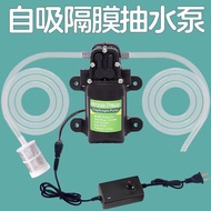 12v Water Pump Mini High Suction Self-Purifying Pump Micro Water Purifier Pure Water Dispenser Wine 
