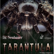 Dr.Neubauer Tarantula Antispin