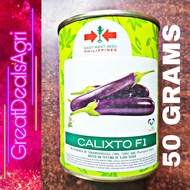 CALIXTO F1 HYBRID EGGPLANT SEEDS (50 GRAMS) EAST WEST SEEDS