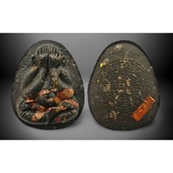 必打佛 6（粉牌） Phra Pidta 龙婆多 必打 #泰国佛牌 #龙普多 #Thai Amulet #LP Toh #Wat Tham Singto Thong #BE2566