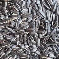 COMBO 4kg INSTANT ROASTED SUNFLOWER SEEDS - large, beautiful seeds