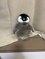 海洋公園 公仔 Aurora Ocean Park Hong Kong Penguin Plush Toy