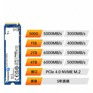 Kingston | M.2 NVME SSD Nv3