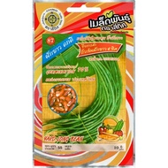 Long Bean Seeds 4-Way