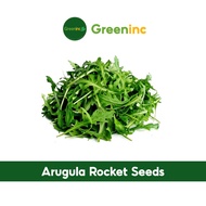 Arugula Rocket Seeds (芝麻菜) Herb Seeds from SG