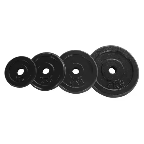 Hot Selling Weight Lifting Weight Bumper Dumbbell Plates Gym Fitness Dumbbell Discs
