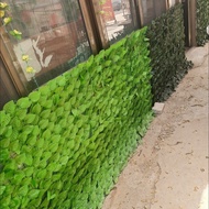 Lifelike Epipremnum Greenery Fence Screen for Balcony & Patio Privacy
