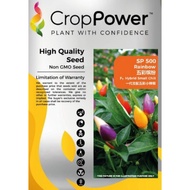 Benih Cili Pelangi F1 Hybrid