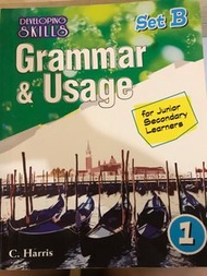 Grammar & Usage Set B 1-3