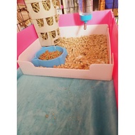 pet toilet tray/potty train/potty tray