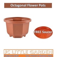 JCLSGP Octagonal Succulent Pot Plant Pot Flower Pot FREE Saucer Plate