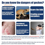 【seduce and poison】lizard killer bait ubat cicak paling berkesan 8pcs/box lizard trap Umpan Gel Cica