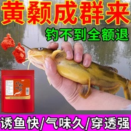 Fish Fishing Yellow Bone Fish Yellow Spicy Ding Wild Fishing Dedicated Yellow Bone Fish Fishing Smal