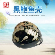 Glossy Shell Colorful Black Gold Abalone Shell Conch Burning Shell Black Abalone10-11 Natural Sage C