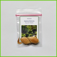 ╳ ★ Squash Kabocha Seeds - Japanese Squash Seeds - Squash Seeds - Heirloom Squash Seeds - Rare Seed