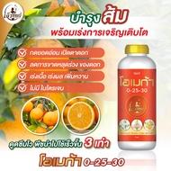 ปุ๋ยน้ำสูตรพรีเมียมสำหรับส้ม โอเมก้า 0-25-30 เปิดตาดอก ผลสวย บำรุงดอก บำรุงผล น้ำหนักดี ผลสวย ขนาด 1