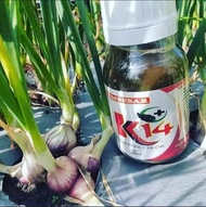 K14 PUPUK ORGANIK CAIR PEMBESAR UMBI UMBIAN