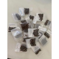 Pokok Roselle Senang biak