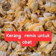 kerang remis segar fresh frozen