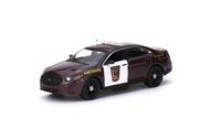 In Stock Car Models 1:64