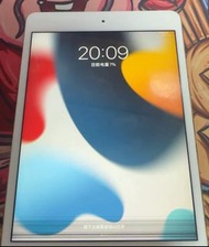 iPad mini 4   32gb