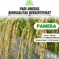 New Benih Padi Merah Pamera 5kg / Padi Aromatik Wangi / Benih Padi