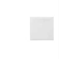 Spanram Painting Canvas 10 x 10cm