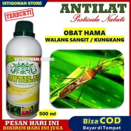 ANTILAT 500ml Obat Hama Pembasmi Walang Sangit/Kungkang Pada Semua Tanaman  - Obat Hama Walang Sangi