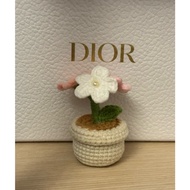 Handmade crochet forget me not flower pot