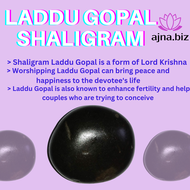 Natural Shaligram Laddu Gopal ( Gandaki River )