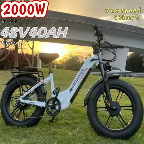 Nathaniel SYR08 Electric Bicycle 2000W Motor 48V 40Ah Battery electric bike 50km/h 20 Inch Tire off 