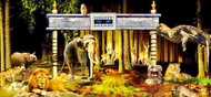 Night Safari with tram cheap ticket discount promotion Adventure cove water park S.E.A Aquarium Univ