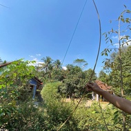 Sendaren Sawangan Layang Gapangan Panjang 2 Meter cocok untuk gapangan 1 - 1,5 meter sudah sama pita