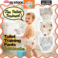 Potty Training Pants, Toilet Training, Pull Up Pants, Baby Training Pants, Potty Training Underwear