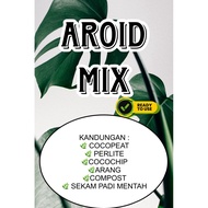 AROID MIX TANAH POROS KELADI