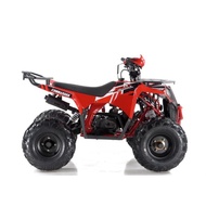 TERBARU / ATV 125CC ATV COMMANDER 125CC 4T ATV BESAR RING 8 125CC BY