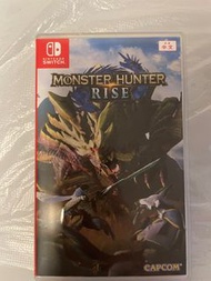 Switch 換薩爾達傳說系列遊戲