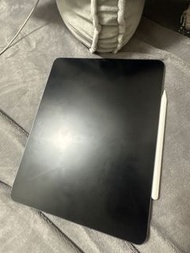 12.9 Apple iPad Pro gen5 第五代 插卡256
