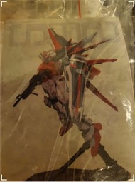 1/100 MG Aile Strike 空戰突擊高達 + 嫣紅改件