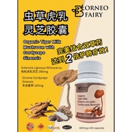 BORNEO FAIRY Organic Tiger Milk Mushroom with Cordyceps Sinensis