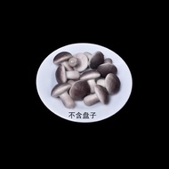 FM01-21 Mushrooms 10 Pieces Foam Material