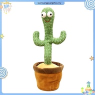 Dencing Cactus Cactus Plush Toy Talk Kaktus Bercakap Dancing toy song plush Dancing Cactus Early Chi