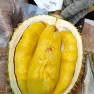 BUAH DURIAN MUSANG KING UTUH/DURIAN SULTAN MALAYSIA