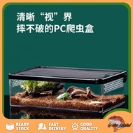 Reptile Tank Snake Spider Lizard Scorpion Horned Frog Gecko
